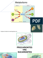 2 Memorias Celulas Aminoacidos Proteinas Cod16a