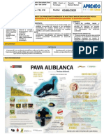 Soluciones sostenibles para problemas económicos