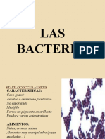 Bacteria Mohos y Levaduras