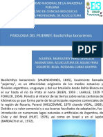 Fisiologia Del Pejerrey