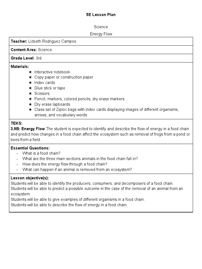 3rd Grade Energy Flow Lesson | PDF | Food Web | Lesson Plan