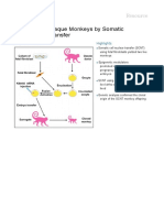 Cloning of Macaque Monkeys by Somatic Cell Nuclear Transfer: Resource