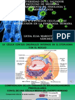 Conferencia Correspondiente Al Tema #2 La Célula y Sus Funciones