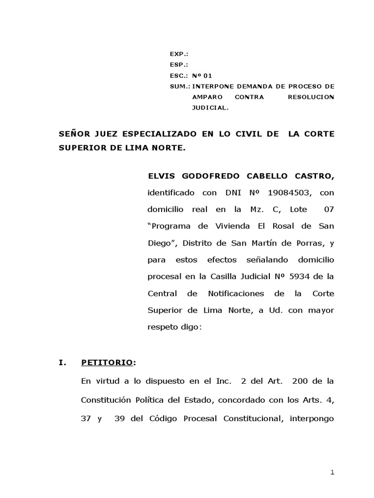 Demanda de Amparo por Debido Proceso | PDF | Debido al proceso | Ley ...