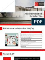 Estructura Tu CV