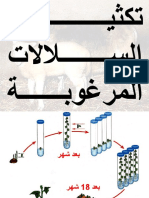 34 تكثير السلالات المرغوبة