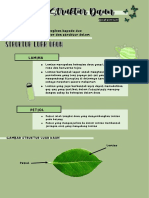 2.1 Struktur Daun Biologi