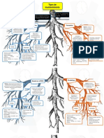 Tipos de Mantenimient0