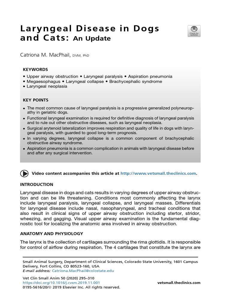 Laryngeal Disease in Dogs and Cats An Update PDF Larynx
