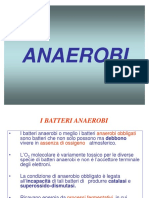 3. Batteri anaerobi