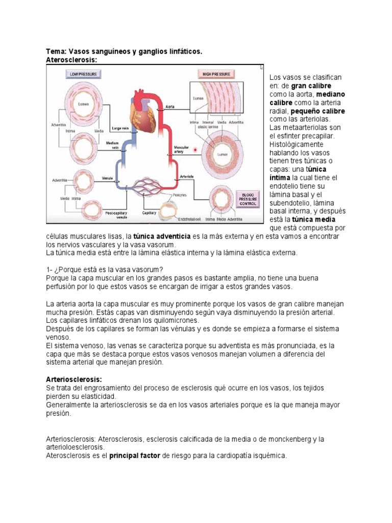 cuidadosamente peso Vaticinador Lab de Patologia2. | PDF | Aterosclerosis | Artería
