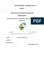 Universidad Nacional Agraria de La Selva: Facultad de Recursos Naturales Renovables