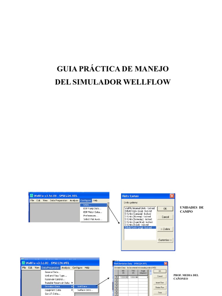 Manual de Wellflow (Guia) | PDF