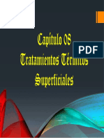 Capítulo 10 TTU Superficiales Intro SS+V