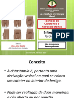 Técnicas de Cistotomia e Hidrocelectomia