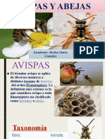 Avispas y Abejas