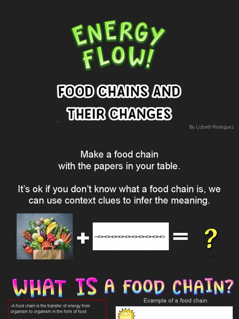 Energy Flow - 3rd Grade | PDF | Food Web | Herbivore