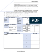 Inspeccion de Poros o Fisuras Mostradas en Revelador (Protocolos de Inspeccion NDT de LP)