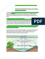 BI2. Ciclos Naturales Del Oxigeno, Carbono y Nitrogeno