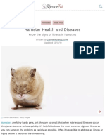 Hamster Health and Diseases