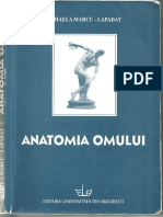 Anatomia Omului Mihaela Marcu Lapadat