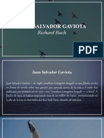 Juan Salvador Gaviota