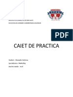 Caiet de Practica