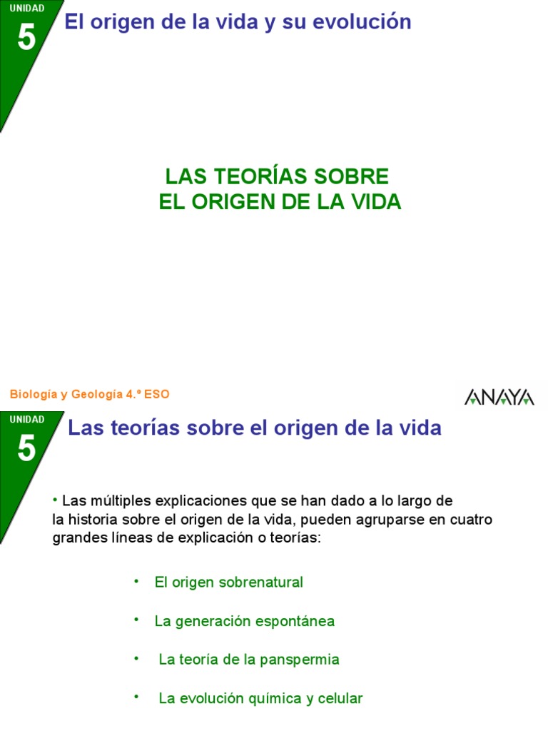 Teorías sobre el origen de la vida | PDF