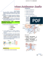 s3 (t9) - Sistema Nervioso Autónomo - Sueño