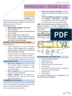 S4 (T12) - Barrera Hematoencefálica y Fisiología Del LCR