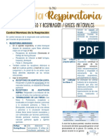 s6 (t16) Fisiología Respiratoria - Sistema Nervioso y Respiración. Gases Arteriales