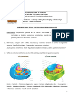 Guía de Estudio - Estructura Interna y Fisiología de La Célula