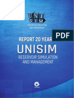 Unisim Report 20 Years