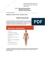 Simetria Del Cuerpo Humano