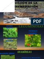 Contaminación de Suelos y Aguas Por Hidrocarburos en Colombia. Análisis de La Fitorremediación Como Estrategia Biotecnológica de Recuperación