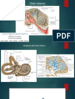 5 Patologías de Oído Interno Audicion