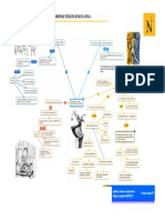 Trabajo de Campo N°1 - Finalidades Preventivas de La Pena