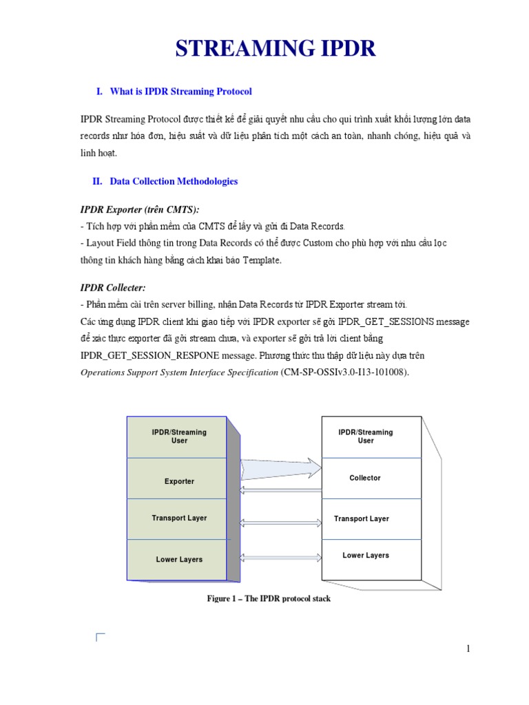 IPDR Vietnamese | PDF