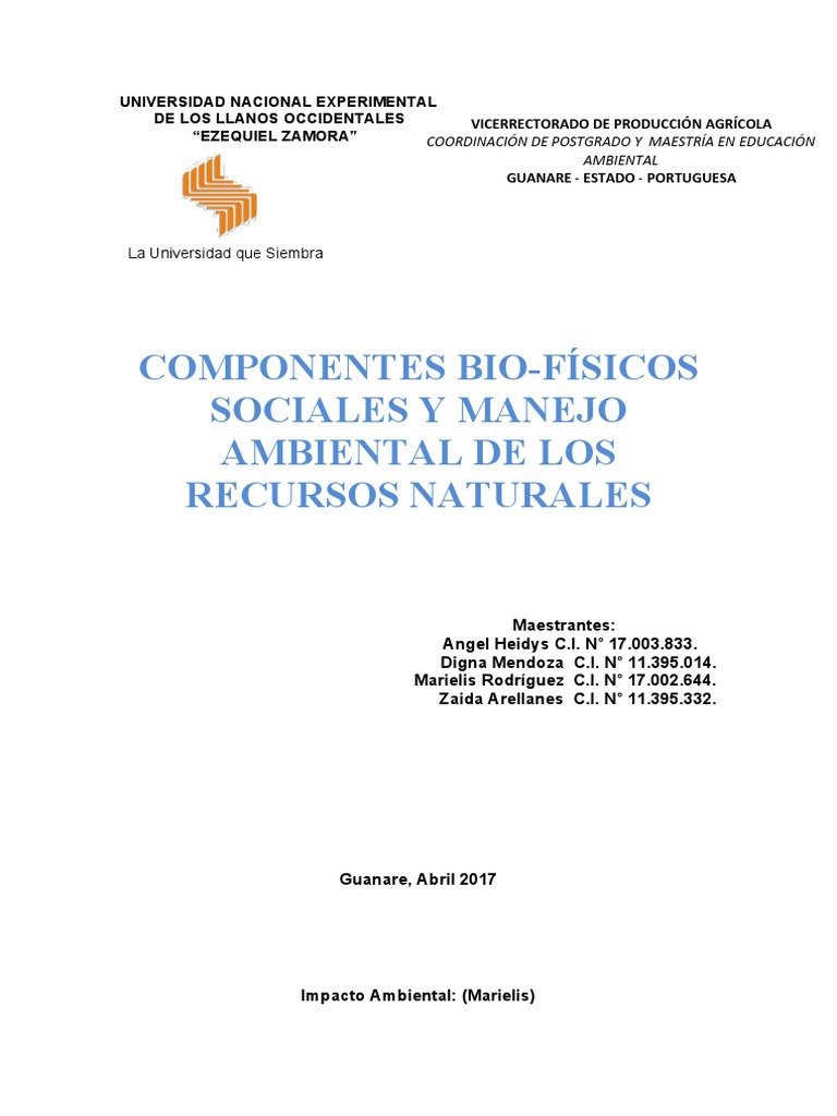 Impacto Ambiental | PDF | Entorno natural | Contaminación