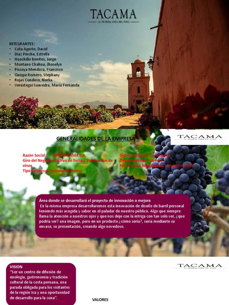 Innovación en Barriles para Vinos Tacama | PDF | Vinificación | Vino, image size:768x1024
