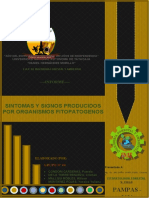 Informe N°02 Sintomas Signos Por Fitopatogenos