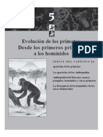 Evolución de Los Primates.