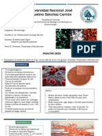 Crecimiento de Neisserias, Treponemas y Mycobacterias