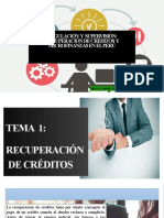 15 Creditos y Microfinanzas