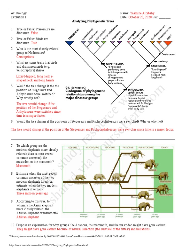 This Study Resource Was: Analyzing Phylogenetic Trees | PDF | Dinosaurs |  Biological Evolution