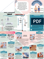 Leaflet Insulin Sri Oktarini