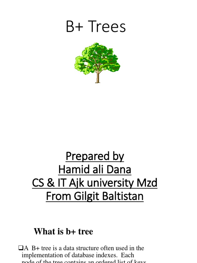 B+ Tree Dbms | PDF | Database Index | Algorithms And Data Structures