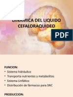 Dinamica Del Liquido Cefaloraquideo