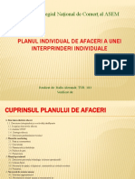 Planul de Afaceri