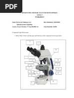 Microscope and Basic Plant Microtechnique Activity 2 Worksheet